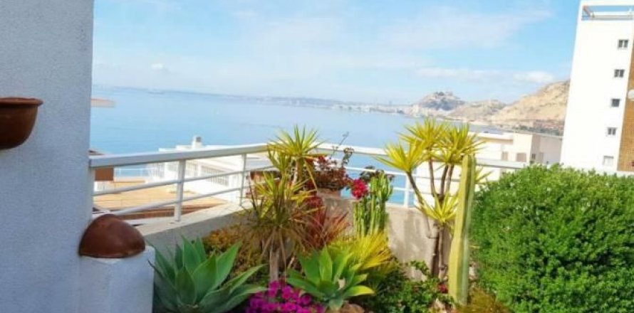 Penthäuser Alicante, Spanien 3 Schlafzimmer, 350 m2 Nr. 44629