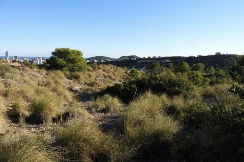 Land zum Verkauf in Finestrat, Alicante, Spanien Nr. 45082 - Foto 9