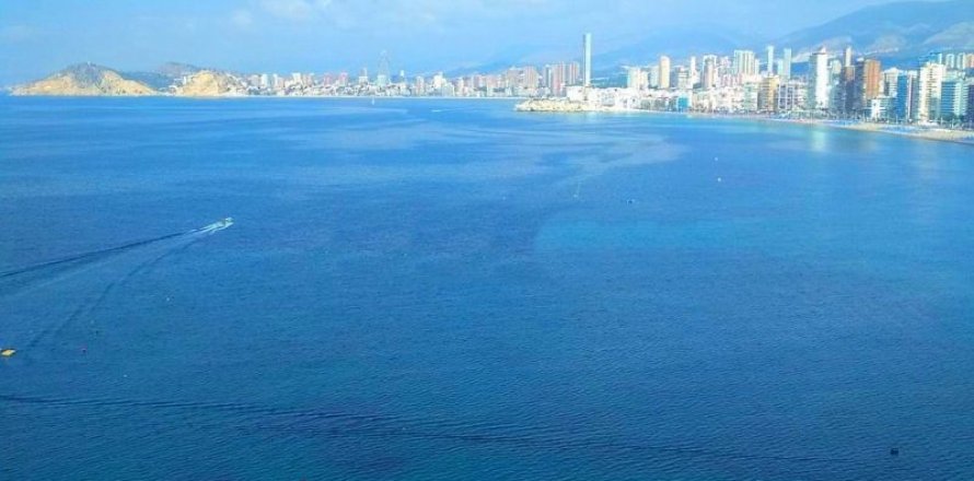 Wohnung Benidorm, Alicante, Spanien 1 Schlafzimmer, 60 m2 Nr. 44370