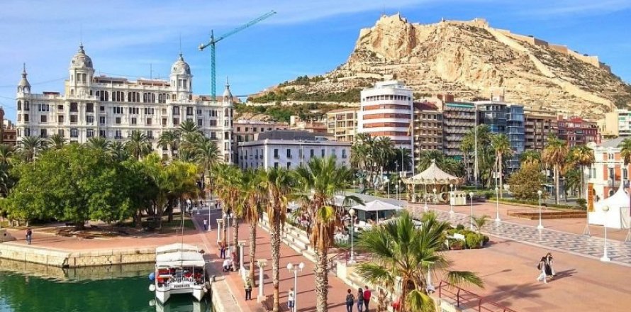 Hotel in Alicante, Spanien 28 Schlafzimmer,  Nr. 43935