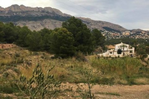 Land zum Verkauf in Altea, Alicante, Spanien Nr. 42556 - Foto 8