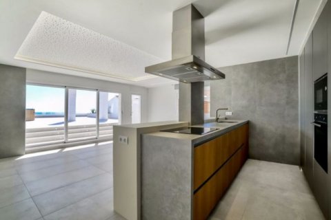 Penthäuser zum Verkauf in Millena, Alicante, Spanien 4 Schlafzimmer, 265 m2 Nr. 43743 - Foto 8