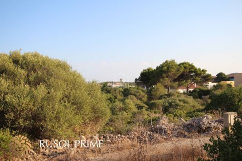 Land zum Verkauf in Sant Lluis, Menorca, Spanien 1997 m2 Nr. 46986 - Foto 4