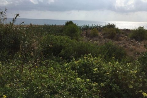 Villa zum Verkauf Alicante, Spanien 236 m2 Nr. 43852 - Foto 10