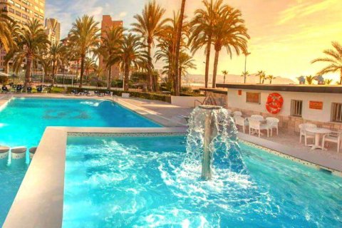 Hotel zum Verkauf in Benidorm, Alicante, Spanien 93 Schlafzimmer,  Nr. 43488 - Foto 2