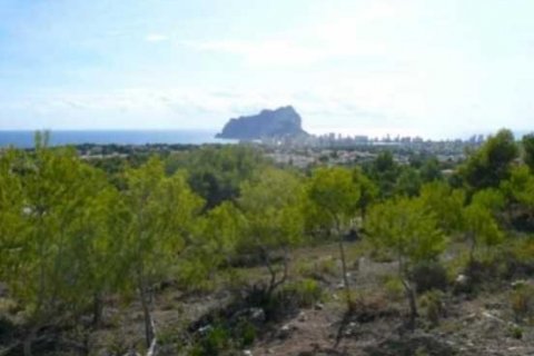 Villa zum Verkauf in Javea, Alicante, Spanien 5 Schlafzimmer, 262 m2 Nr. 44397 - Foto 10