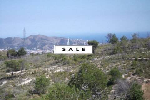 Land zum Verkauf in La Nucia, Alicante, Spanien Nr. 45904 - Foto 5