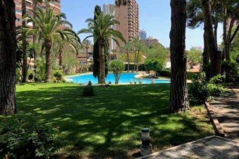 Penthäuser zum Verkauf in Benidorm, Alicante, Spanien 2 Schlafzimmer, 176 m2 Nr. 42052 - Foto 3