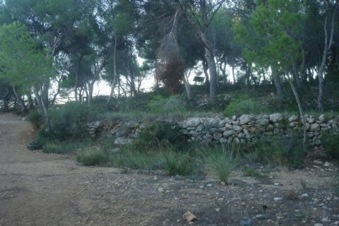 Land zum Verkauf Benissa, Alicante, Spanien Nr. 44392 - Foto 7