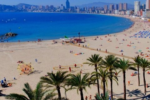 Hotel zum Verkauf in Benidorm, Alicante, Spanien 80 Schlafzimmer, 10 m2 Nr. 42895 - Foto 2