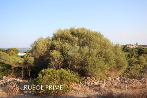 Land zum Verkauf in Sant Lluis, Menorca, Spanien 1691 m2 Nr. 46985 - Foto 3