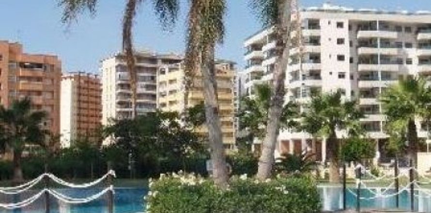 Wohnung in Benidorm, Alicante, Spanien 2 Schlafzimmer, 96 m2 Nr. 44441