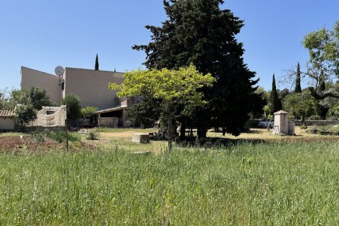Land zum Verkauf in Pollenca, Mallorca, Spanien 25000 m2 Nr. 47374 - Foto 18