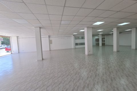Gewerbeimmobilien zum Verkauf in Llucmajor, Mallorca, Spanien 400 m2 Nr. 48131 - Foto 4