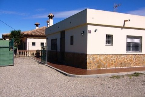 Villa zum Verkauf in Los Gallardos, Almeria, Spanien 5 Schlafzimmer, 215 m2 Nr. 50341 - Foto 24