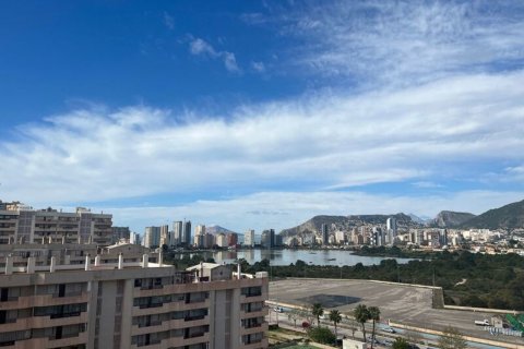 Penthäuser zum Verkauf Calpe, Alicante, Spanien 3 Schlafzimmer, 316 m2 Nr. 49901 - Foto 15