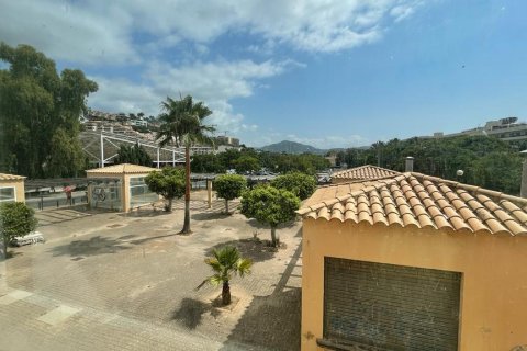 Gewerbeimmobilien zum Verkauf in Santa Ponsa, Mallorca, Spanien 728 m2 Nr. 51102 - Foto 3