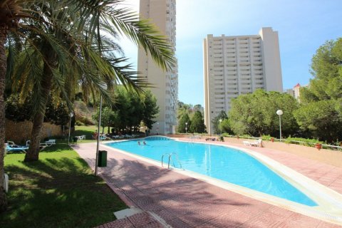 Wohnung zum Verkauf in Benidorm, Alicante, Spanien 2 Schlafzimmer,  Nr. 50708 - Foto 22