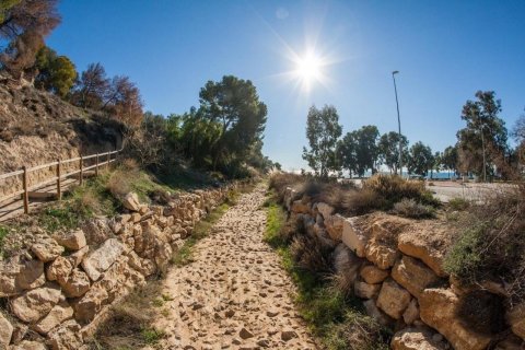 Penthäuser zum Verkauf Benidorm, Alicante, Spanien 3 Schlafzimmer, 202 m2 Nr. 50280 - Foto 18