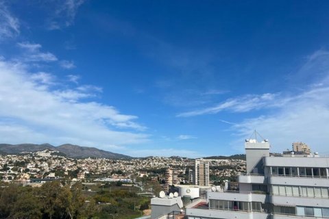 Penthäuser zum Verkauf Calpe, Alicante, Spanien 3 Schlafzimmer, 316 m2 Nr. 49901 - Foto 25