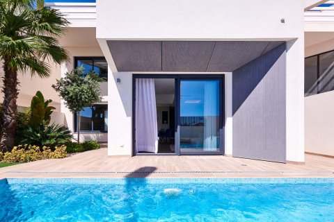 Amalia Premium Torrevieja, Alicante, Spanien Nr. 51936 - Foto 2