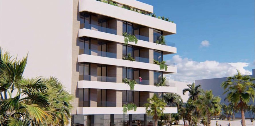 Miramar La Mata, Alicante, Spanien Nr. 51586