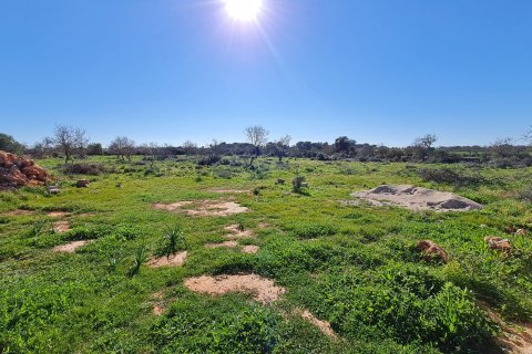 Finca zum Verkauf in Ses Salines, Mallorca, Spanien 4 Schlafzimmer, 467 m2 Nr. 37537 - Foto 7