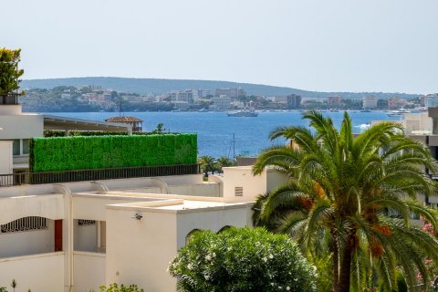 Wohnung zum Verkauf in Portals Nous, Mallorca, Spanien 2 Schlafzimmer, 70 m2 Nr. 47385 - Foto 13