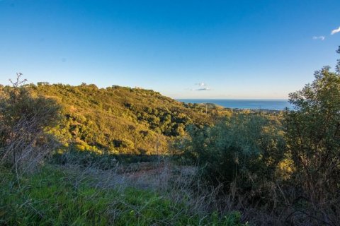 Land zum Verkauf in Marbella Del Este, Malaga, Spanien Nr. 53460 - Foto 9