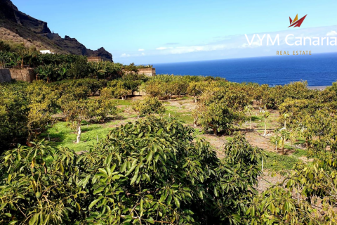 Land zum Verkauf in Buenavista del Norte, Tenerife, Spanien Nr. 54880 - Foto 18