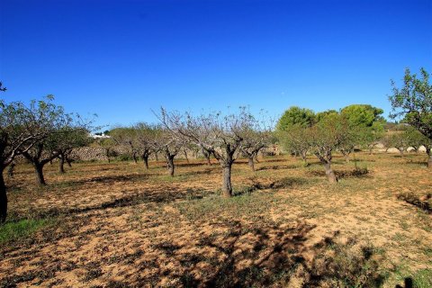 Land zum Verkauf in Benissa, Alicante, Spanien Nr. 54430 - Foto 2