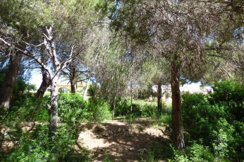 Land zum Verkauf in Benissa, Alicante, Spanien Nr. 54276 - Foto 14