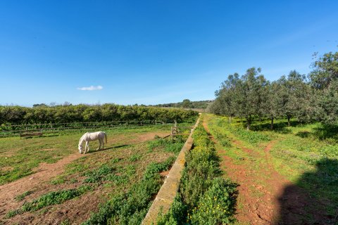 Finca zum Verkauf in Puntiro, Mallorca, Spanien 6 Schlafzimmer, 1846 m2 Nr. 56612 - Foto 19