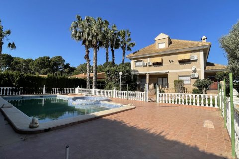 Wohnung zum Verkauf in Torrevieja, Alicante, Spanien 5 Schlafzimmer, 330 m2 Nr. 59012 - Foto 3