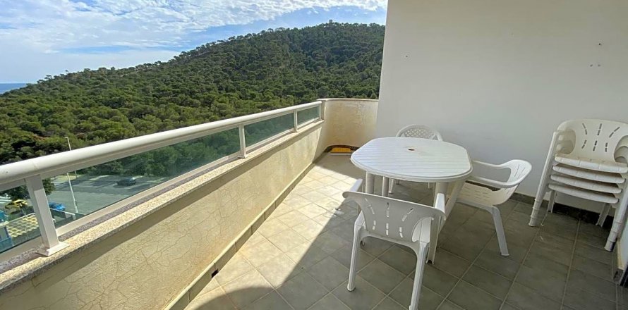 Wohnung in Benidorm, Alicante, Spanien 3 Schlafzimmer, 110 m2 Nr. 59191