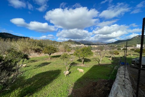 Finca zum Verkauf in Andratx, Mallorca, Spanien 4 Schlafzimmer, 259 m2 Nr. 60573 - Foto 6