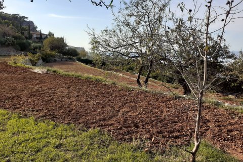 Finca zum Verkauf in Banyalbufar, Mallorca, Spanien 4 Schlafzimmer, 290 m2 Nr. 32599 - Foto 12