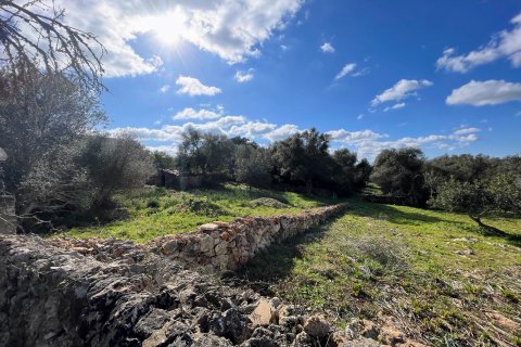 Finca zum Verkauf in Costitx, Mallorca, Spanien 3 Schlafzimmer, 311 m2 Nr. 62827 - Foto 11