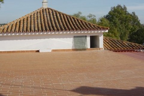 Villa zum Verkauf in Alcala de Guadaira, Seville, Spanien 8 Schlafzimmer, 1.18 m2 Nr. 62391 - Foto 15