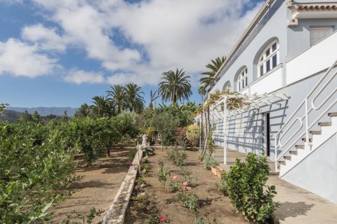 Villa en venta en Las Palmas De Gran Canaria, Gran Canaria, España 7 dormitorios, 571 m2 No. 3527 - foto 4