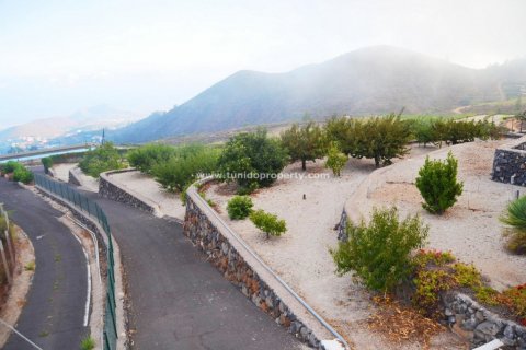 Finca en venta Granadilla de Abona, Tenerife, España 2 dormitorios, 80 m2 No. 24367 - foto 5