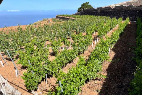 Parcela en venta Puerto de Santiago, Tenerife, España 15 m2 No. 24665 - foto 1