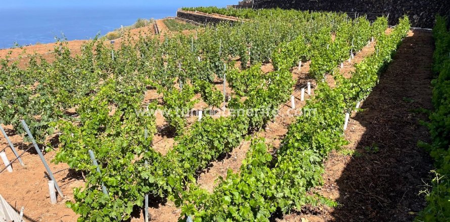 Parcela Puerto de Santiago, Tenerife, España 15 m2 No. 24665