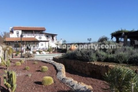 Villa en venta en Arico, Tenerife, España 5 dormitorios, 295 m2 No. 24329 - foto 23