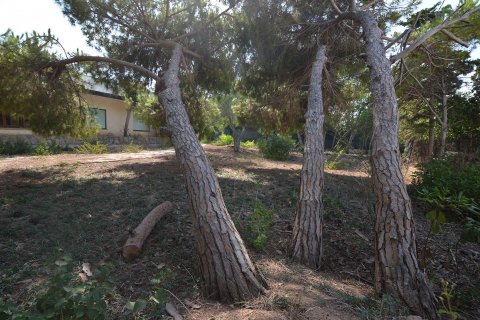 Parcela en venta Cabo Roig, Alicante, España 1533 m2 No. 19342 - foto 8