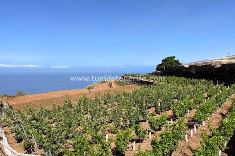 Parcela en venta Puerto de Santiago, Tenerife, España 15 m2 No. 24665 - foto 6
