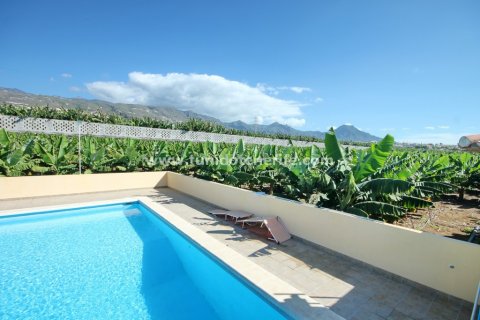 Finca en venta en Callao Salvaje, Tenerife, España 6 dormitorios, 280 m2 No. 24396 - foto 6
