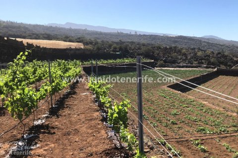 Parcela en venta Puerto de Santiago, Tenerife, España 15 m2 No. 24665 - foto 4