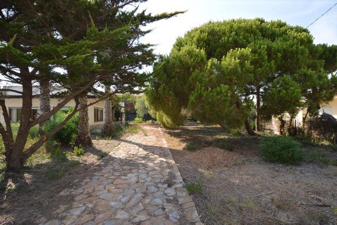 Parcela en venta Cabo Roig, Alicante, España 1533 m2 No. 19342 - foto 6