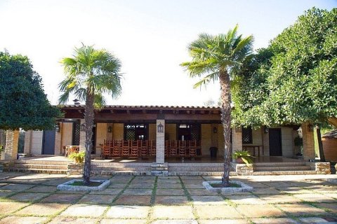 Villa en venta en Almoradí, Alicante, España 4 dormitorios, 732 m2 No. 29372 - foto 16
